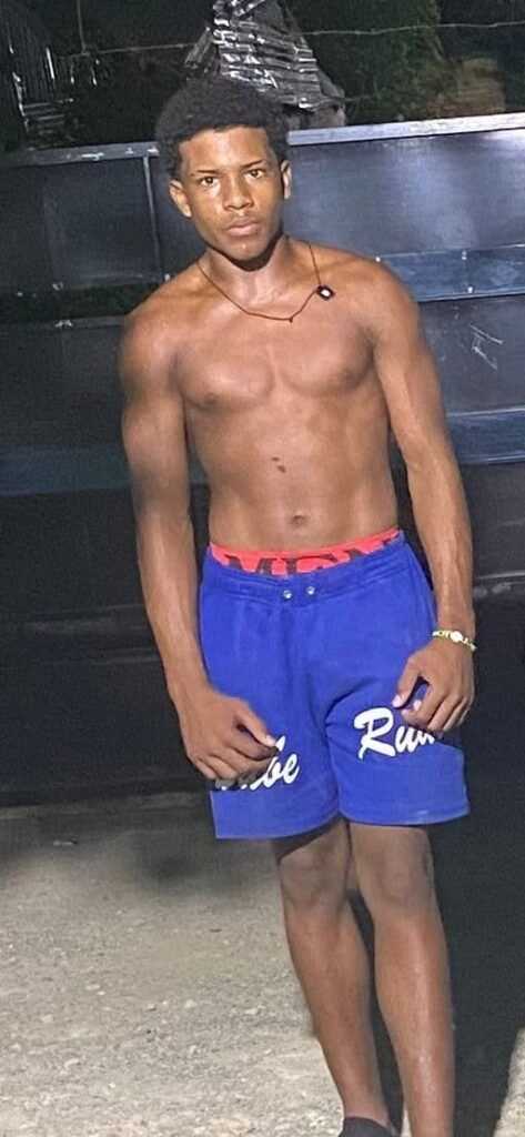 Veterinarios buscan regular fármacos para evitar se usen en humanos